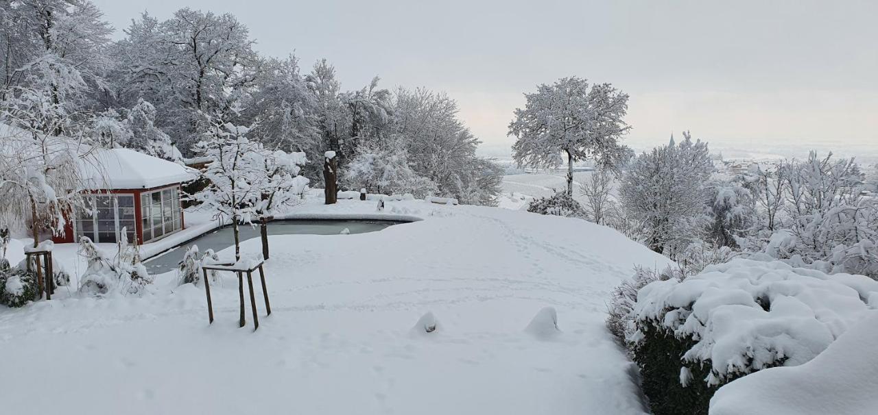 Paradies 2 Castellberg-Jakobsweg Döttingen Εξωτερικό φωτογραφία